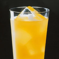 EBiSU Polypropylene Ice Tray 14 Pcs -Kitchenware Sales Shop EBiSUPolypropyleneIceTray14pcs 3