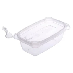 Ebisu Polypropylene Storage Container