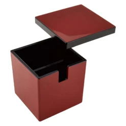 Fukui Craft ABS Resin Sushi Gari Pickled Ginger Container -Kitchenware Sales Shop FukuiCraftABSResinSushiGariPickledGingerContainer 4