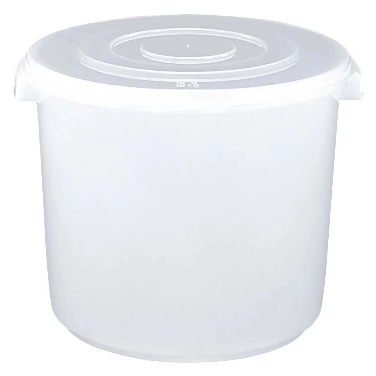 Shinkigosei Polypropylene Pickle Sealed Container 1 Shinkigosei Polypropylene Pickle Sealed Container