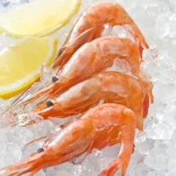 Swan Aluminium Manual Ice Crusher White 7 Swan Aluminium Manual Ice Crusher White -Kitchenware Sales Shop SwanAluminiumManualIceCrusher 3