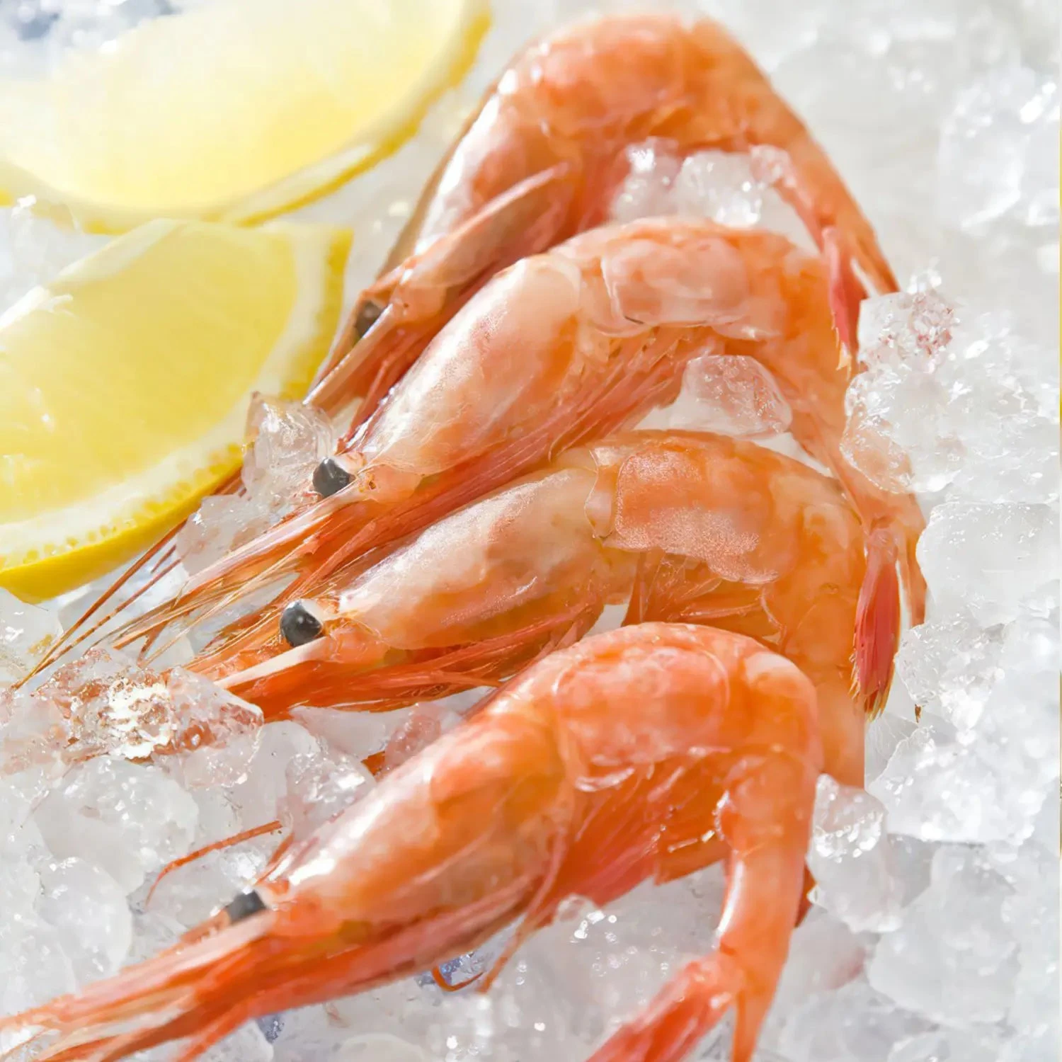 Swan Aluminium Manual Ice Crusher 4 Swan Aluminium Manual Ice Crusher - Image 4