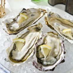 Swan Aluminium Manual Ice Crusher 6 Swan Aluminium Manual Ice Crusher -Kitchenware Sales Shop SwanAluminiumManualIceCrusher 4 c19e3ab1 364e 4552 94fb f79454a500a4